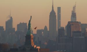 New York DFS Daily Fantasy Sports Betting