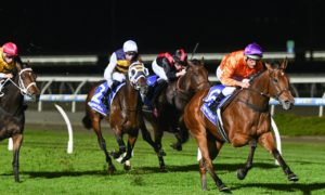 horse racing betting New York