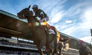 New York Race Tracks