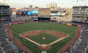 mlb betting yankee stadium
