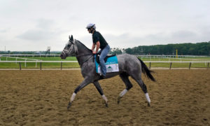 The Belmont Stakes on June 5th holds a special place in the hearts of New York sports bettors and horse racing fans.