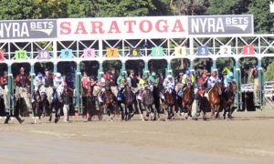 NY online horse betting