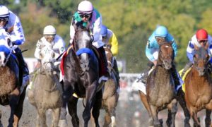 NY horse racing coalition