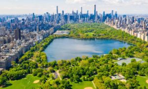 NY Online Sports Betting Gambling Expansion
