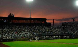 draftkings yankees sportsbook
