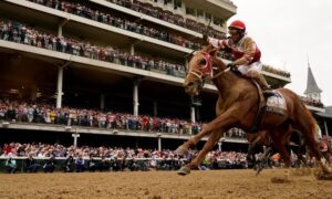 Rich Strike 2022 Preakness Stakes NY Horse Betting