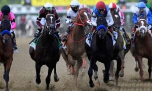 2022 Preakness Stakes TVG Horse Betting App New York Horse Betting Preakness Stakes Betting Promo