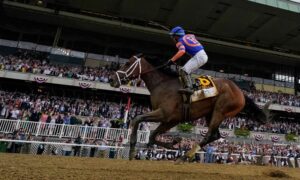 2022 Belmont Stakes Mo Donegal Irad Ortiz Jr New York Horse Betting