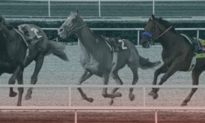 New York Horse Betting 2022 Belmont Stakes Triple Crown