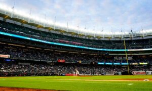 New York Sports Betting Kiosks Yankees Stadium Citi Field New York Yankees New York Mets