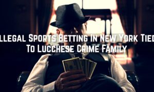 Illegal NY Sports Betting Rhino Sports Arrest Lucchese Mafia