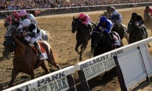 Belmont Stakes Sir Winston Belmont Park New York Horse Betting