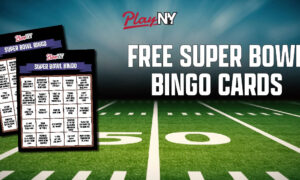 PlayNY Free Super Bowl Bingo Game NFL Championship 2023 Super Bowl 57