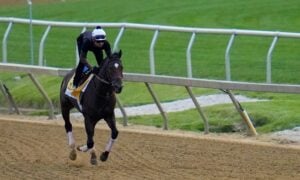 blazing sevens trains for 2023 preakness stakes