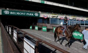 belmont park 2020 belmont stakes ny horse racing