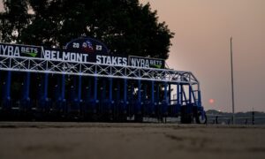 starting gate for 2023 belmont stakes