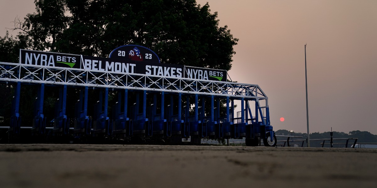 starting gate for 2023 belmont stakes