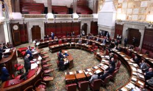 ny senate meets in albany