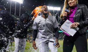 new york yankees domingo german perfect game
