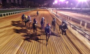 group of horses races at night