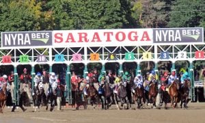 Starting gate at Saratoga Race Course for a story on DraftKings becoming a title sponsor for the Belmont Stakes and Travers