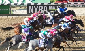 Starting line at Belmont Park for a story on FanDuel Racing pulling NYRA horse betting content amid a contract dispute.